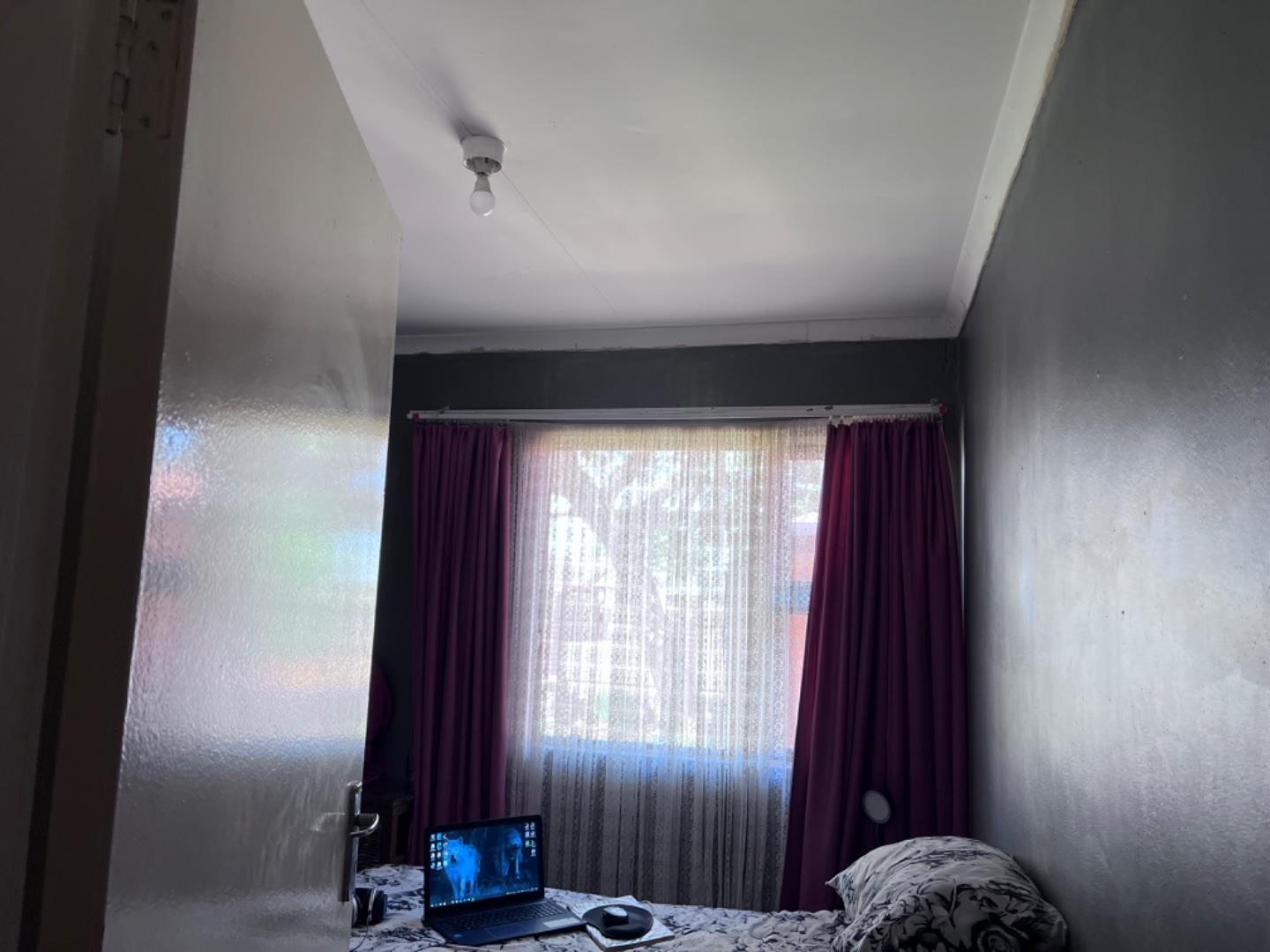 329905294.jpg